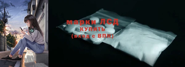 прущие крисы Новозыбков