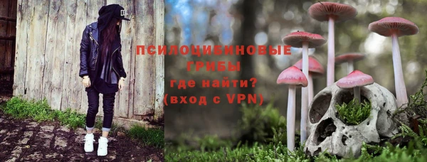 дживик Покров
