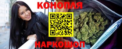 индика Ирбит