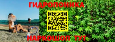 индика Ирбит