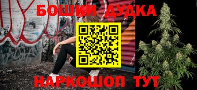 индика Ирбит