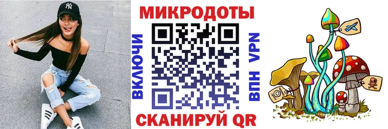 Псилоцибиновые грибы мицелий Кохма