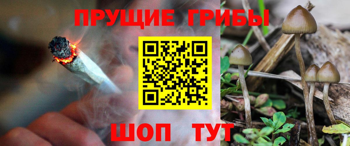 Галлюциногенные грибы прущие грибы  Галлюциногенные грибы Magic Shrooms  Вход с VPN  Кохма 